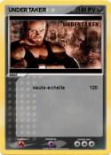 UNDERTAKER