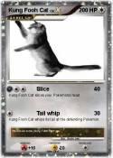 Kung Fooh Cat