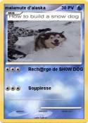 malamute d'alas