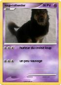 loup-rottweiler
