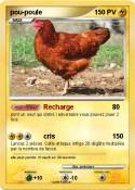 pou-poule