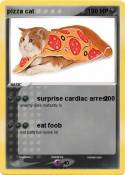 pizza cat