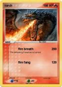 torch