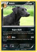 Shiloh