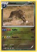 Cheetah