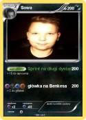 Sowa