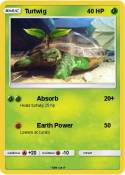 Turtwig