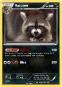 Raccoon