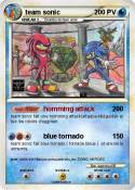 team sonic