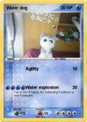 Water dog