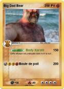 Big Dad Bear