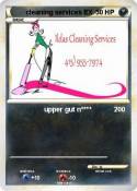 cleaning servic