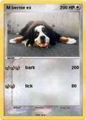 M bernie ex