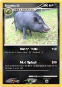 Bacon