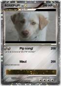 ROSEPUP!