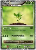 Plant