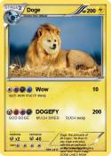 Doge