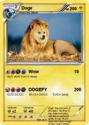 Doge