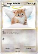 Angel Animals