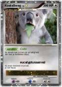 KoalaSwag