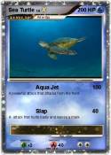 Sea Turtle