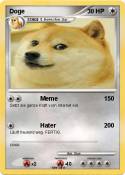 Doge