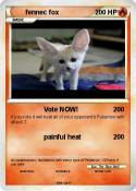 fennec fox