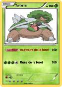 Torterra