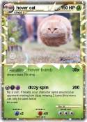 hover cat
