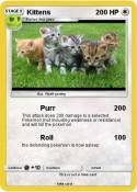 Kittens