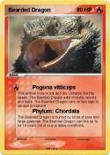 Bearded Dragon