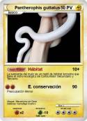 Pantherophis