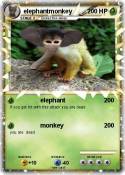elephantmonkey