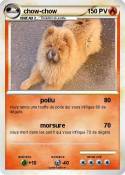 chow-chow