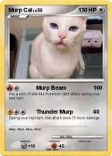 Murp Cat