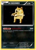 OK BOOMER
