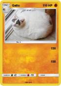 Gatto