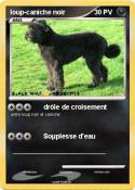 loup-caniche