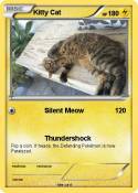 Kitty Cat