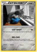 CAT SNIPER