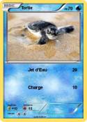 Tortie