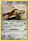 TurtleEX