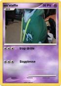 am'staffie
