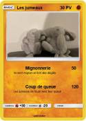 Les jumeaux