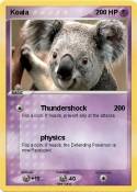 Koala