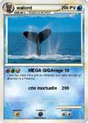 wailord