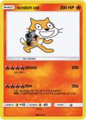 scratch cat