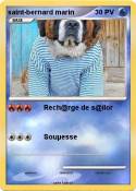 saint-bernard