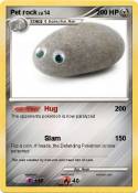 Pet rock