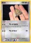 Moth